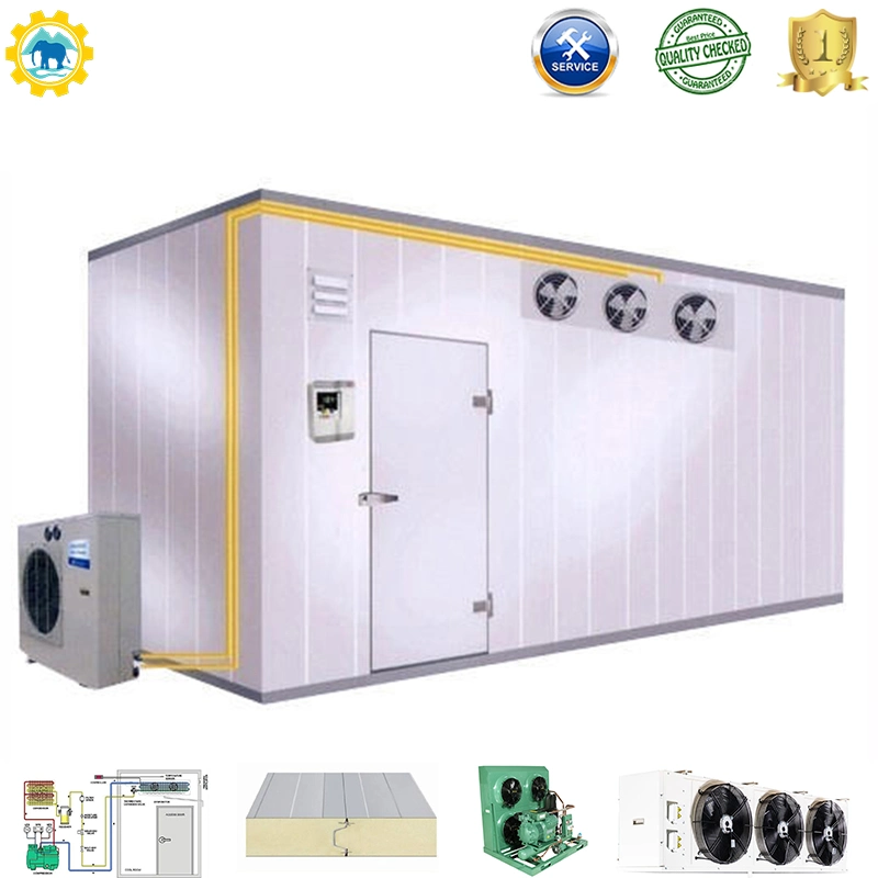 Banana Ripening Prefabricated Commercial Customized Walk in Freezer