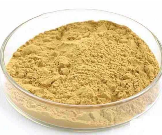 ISO Factory Supply Astragalus Root Extract Powder