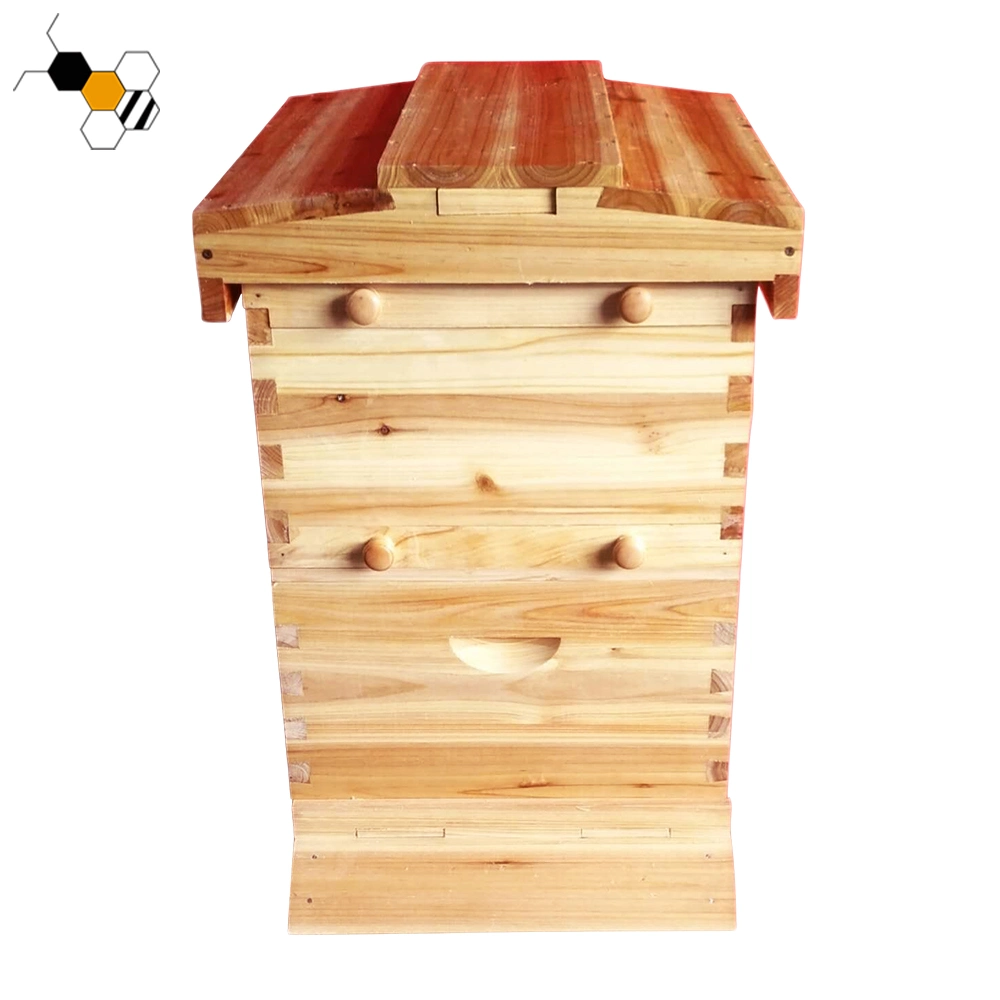 Auto-flujo de Hive Bee de Honey Beehive