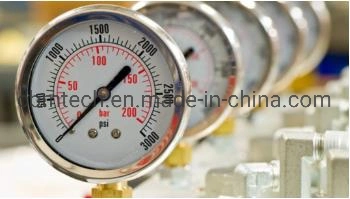 Micro Low Differential Pressure Gauges 2.5MPa