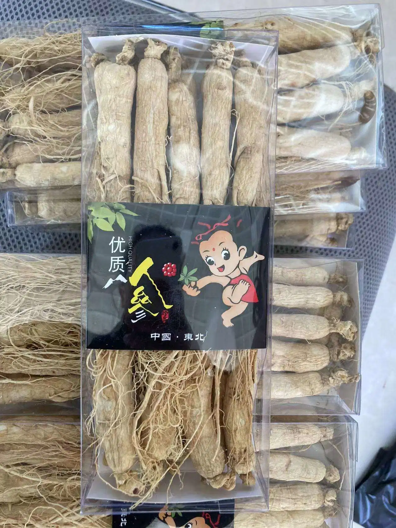 Hochwertige Ginseng Wurzel