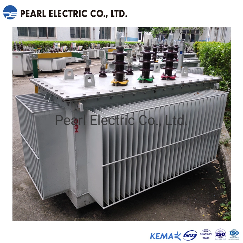 Peo-300kVA 11kv High Efficiency Oil-Immersed Distribution Transformer