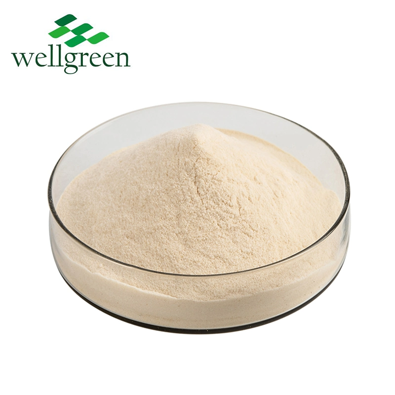 Free Sample Factory Pirce Available 100X 200X 50: 1 100: 1 200: 1 Aloe Vera Gel Freeze Drized Powder