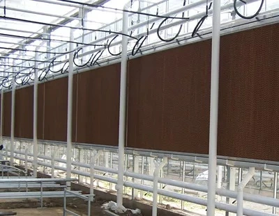 Large Xinhe Customizable Qingzhou Evaporative Air Cooler Commercial Greenhouse Wet Curtain Manufacture