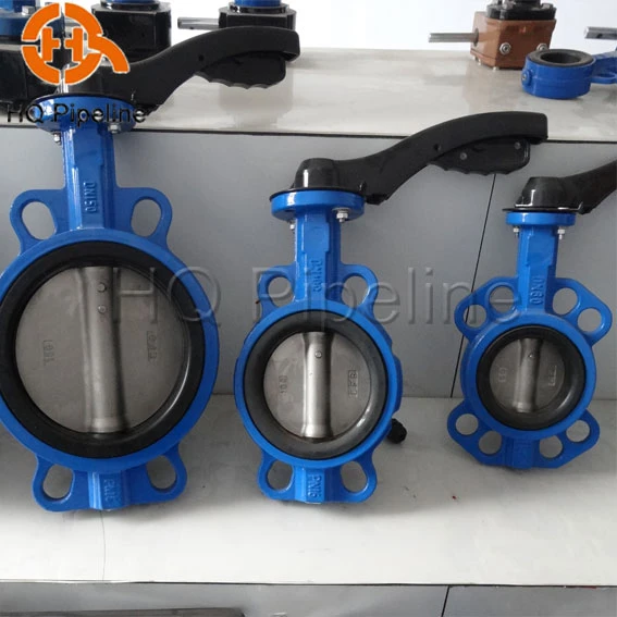 Wafer/Lug/Swing/Grooved End Flanged Type Cast Iron/Stainless Steel Butterfly/Check/Ball Valve for Water Fire Fighting