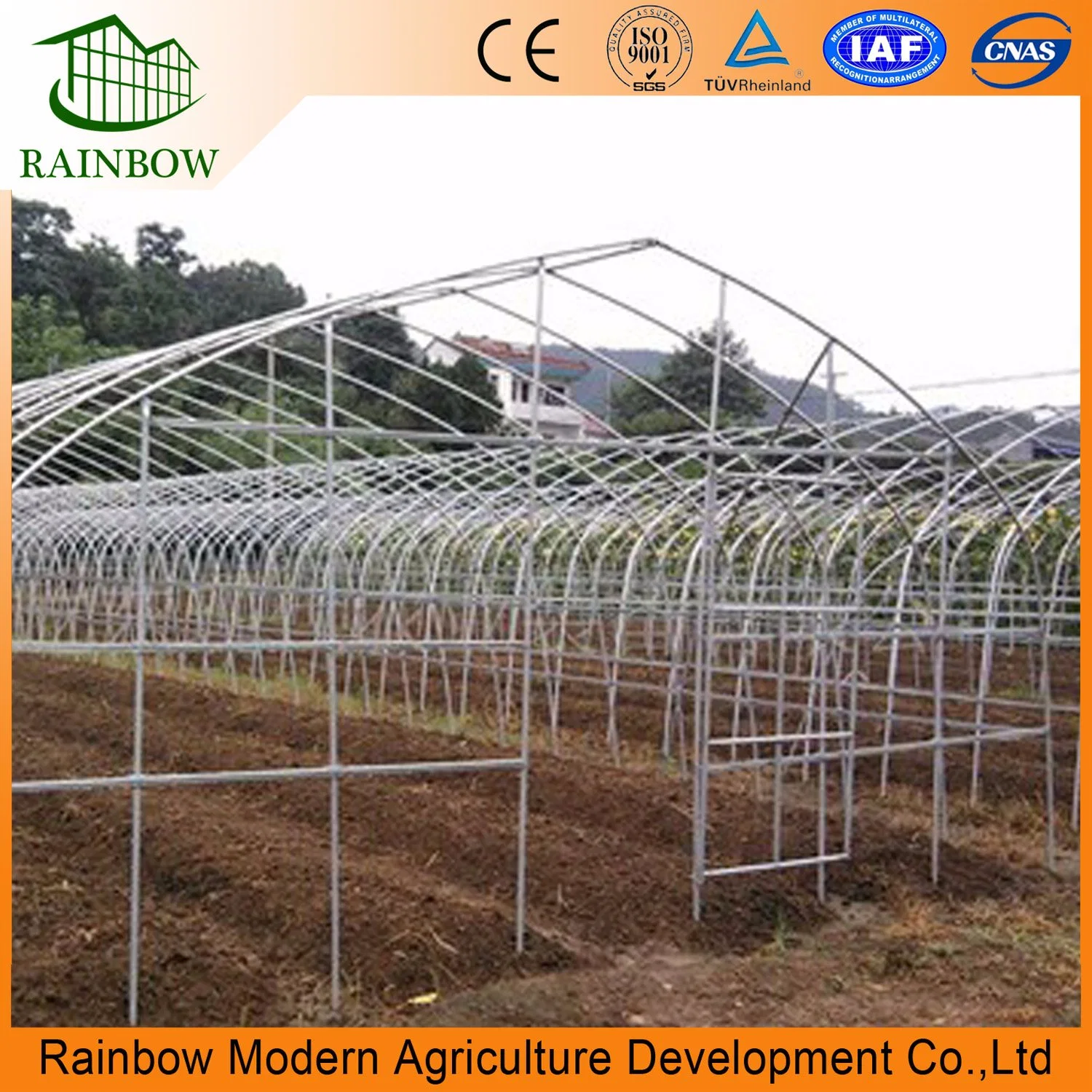 Agriculture Single Span Vegetable Greenhouse with Plastic Film