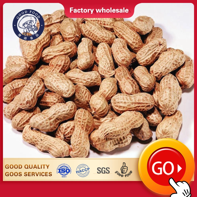 Price Cheap Chinese Peanuts in Shell with Competitive Price