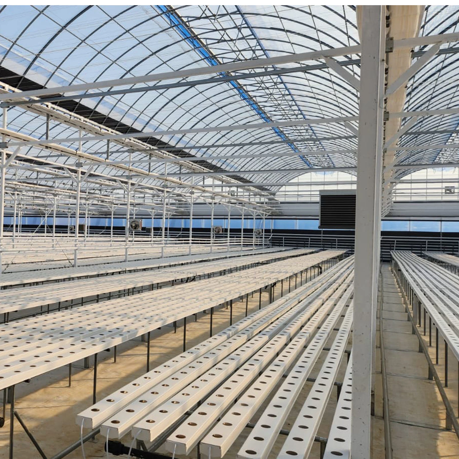 Agricultural Greenhouses Basil Hydroponics System Hydropon Nft System
