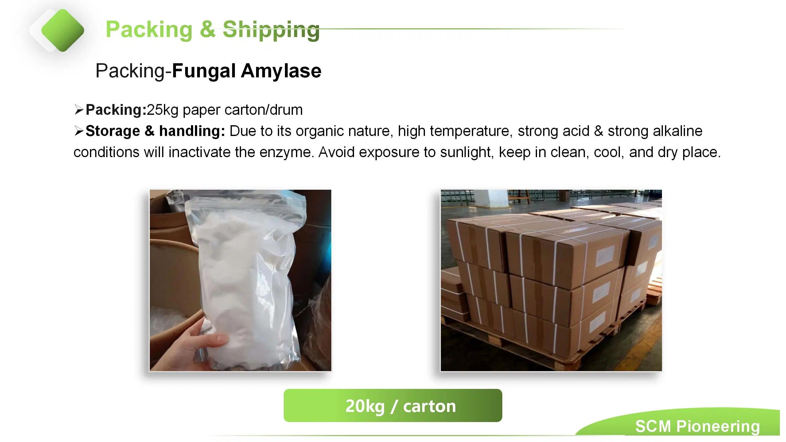 La Chine usine Wholesale/Supplier Food Grade alpha amylase fongique / Enzyme Alpha-Amylase