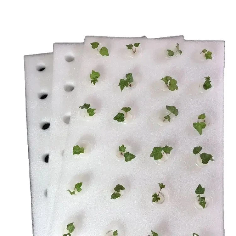 Hot Sales Black White Color Hydroponic Vegetables Seedling Foam