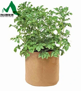 Root Control Bag Garden Planter Competitive Price