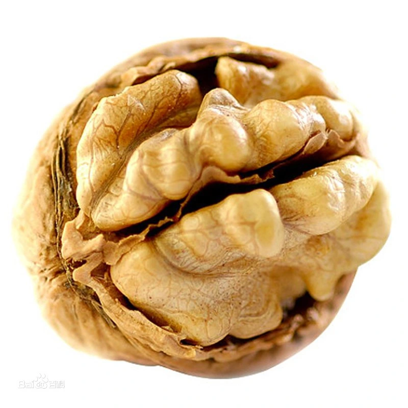 High Quality Nut Chinese Walnut Kernels Extra Light Halves Walnut Kernels