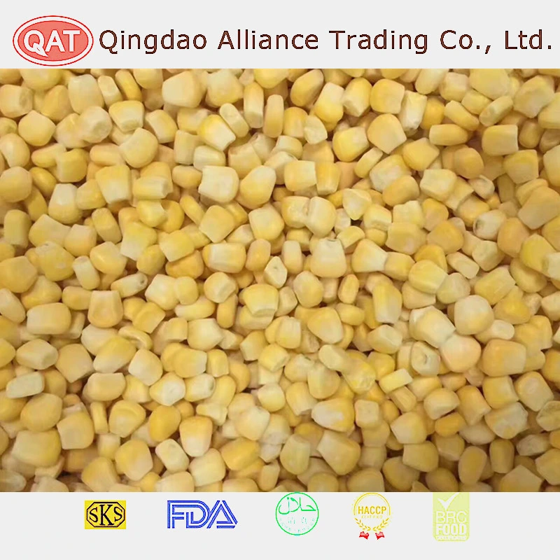 None GMO Frozen Super Sweet Corn Kernels IQF Corn with Top Quality