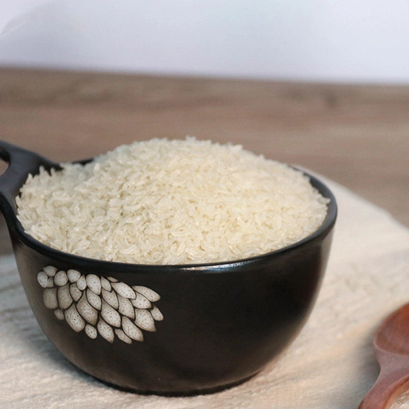 Healthy Rice Substitute for Type 2 Diabetics Gluten Free Shirataki De Konjac Rice