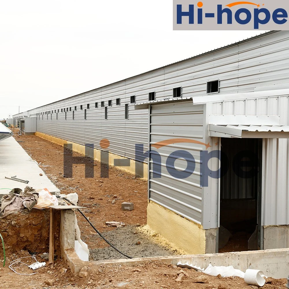 Livestock Cage, Chicken Farm House, Steel Structure Building