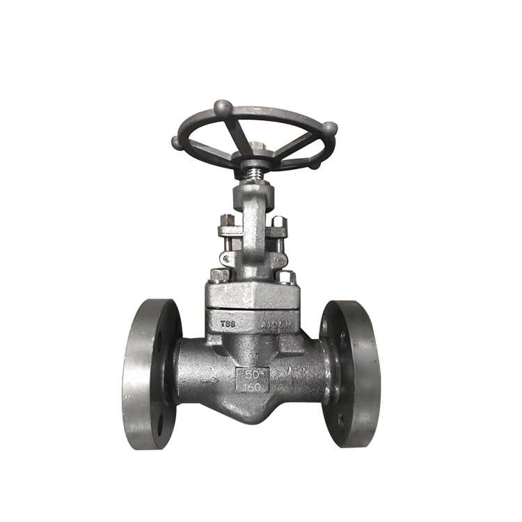 F304 F316 Hot Steam Globe Valve Bellow Seal Stainless Steel Forged Globe Valve