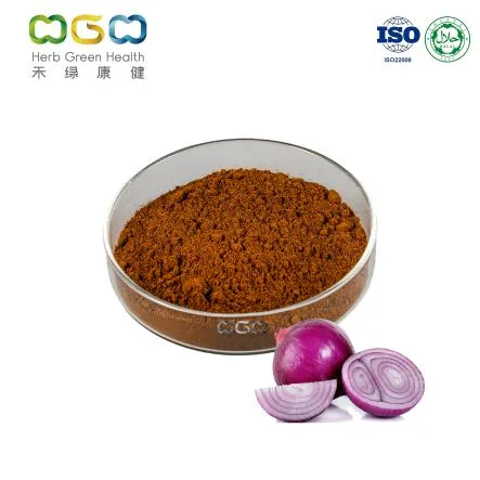 Chinese Wholesale Factory Supply Quercetin 0.2% Powder Pure Onion Skin Extract