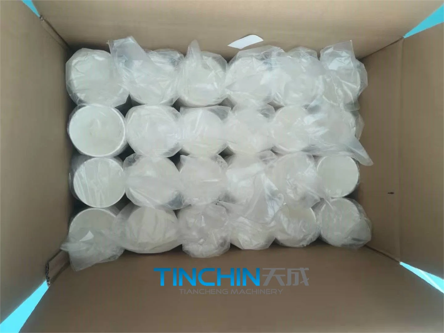 Single Packing Cup Machine with Carton Sealer