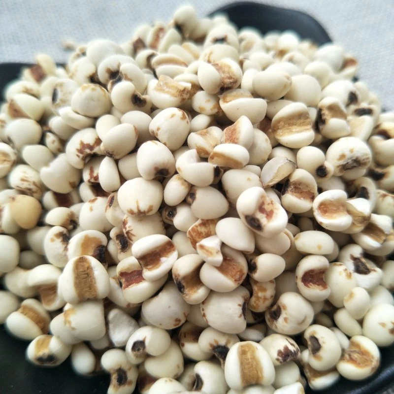 Yi Yi Ren Factory Supply High quality/High cost performance Hot Sale Natural Herbal Medicine Coix Seed for Health