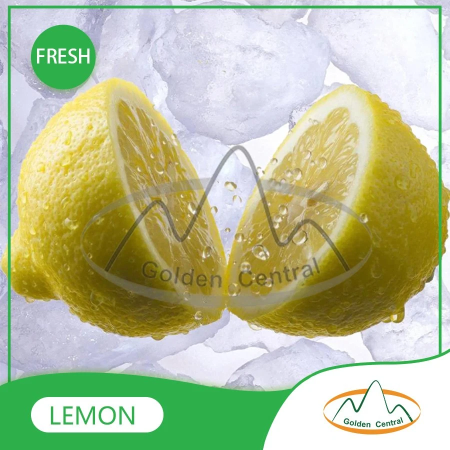 Wholese High quality/High cost performance  New Harvest Fresh Seedless Lime Lemon