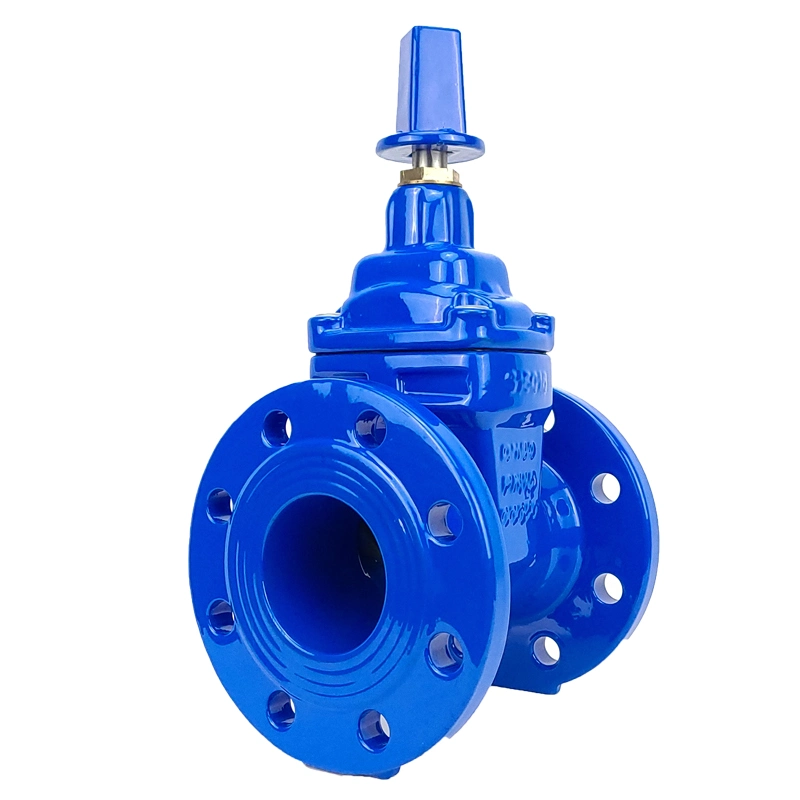 Awwa Ductile Iron Flanged Ends Non Rising Stem Control Water Flange Gate Valve