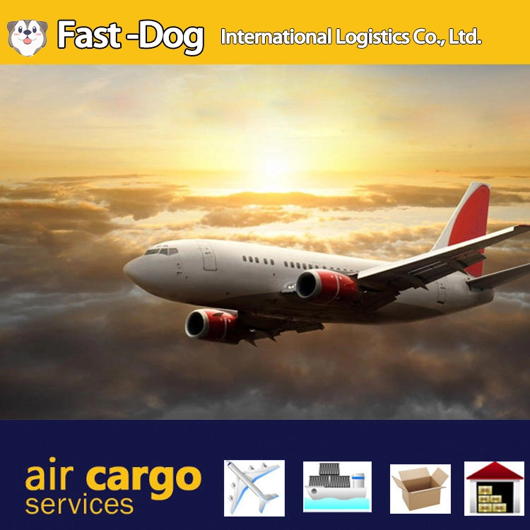 Small Package Shipping Agent From China to South Africa Air Shipping Cooperate Logistics Express Service