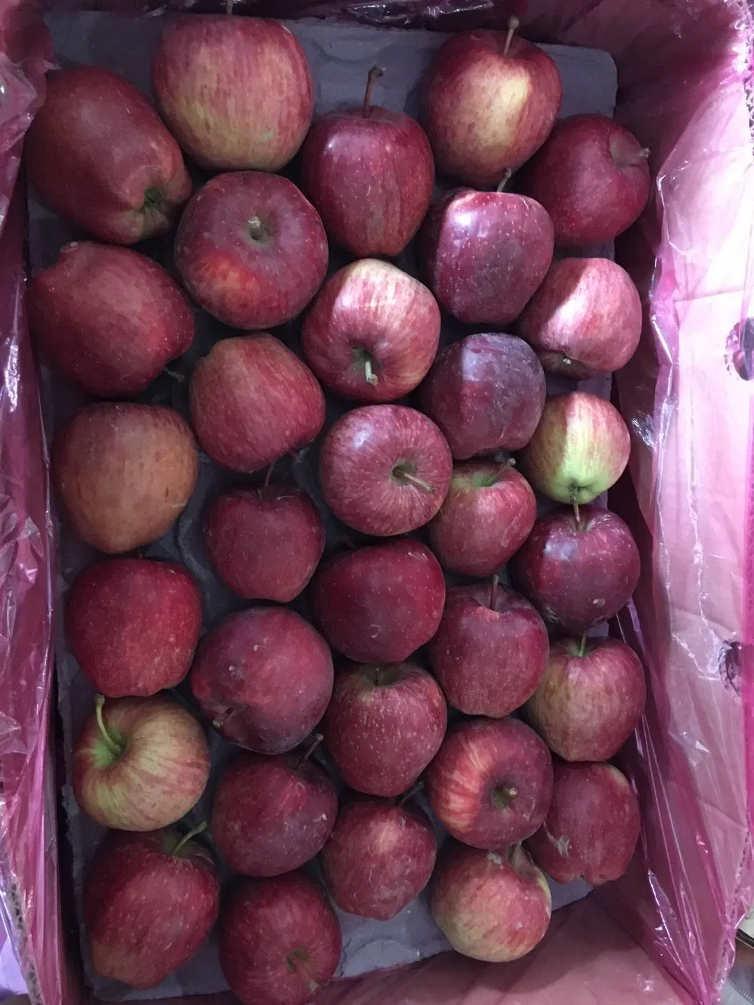 Chino dulce Estrella Roja manzanas con 17/18/19/20kg Carton