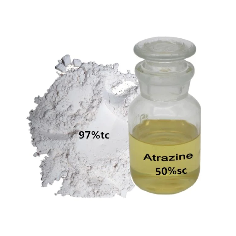 Weedizid Atrazin 97 % Tc Herbizid 50 % 50 Sc 95 % Tc 80 % WP 96tc 95 % TC 50 WP SC Atrazin
