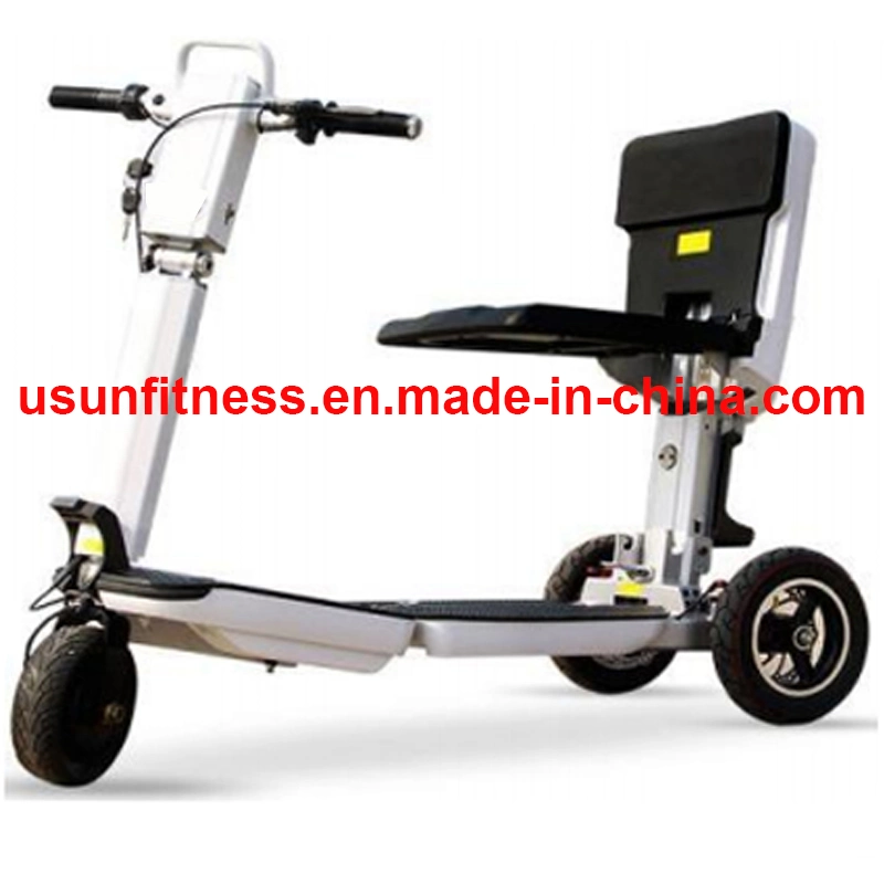 3 Wheels Folding Mobility Scooter Electric Bike with CE