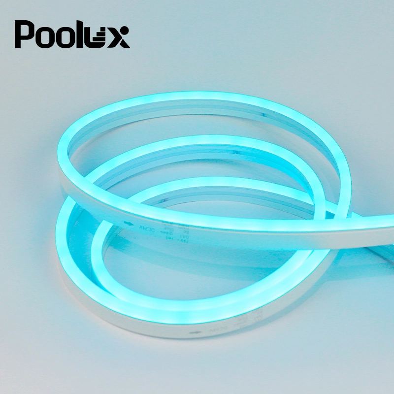 LED Silicone Neon Light Strip Neon Rope Light Full Color DC IP68 Waterproof Outdoor Strip Light