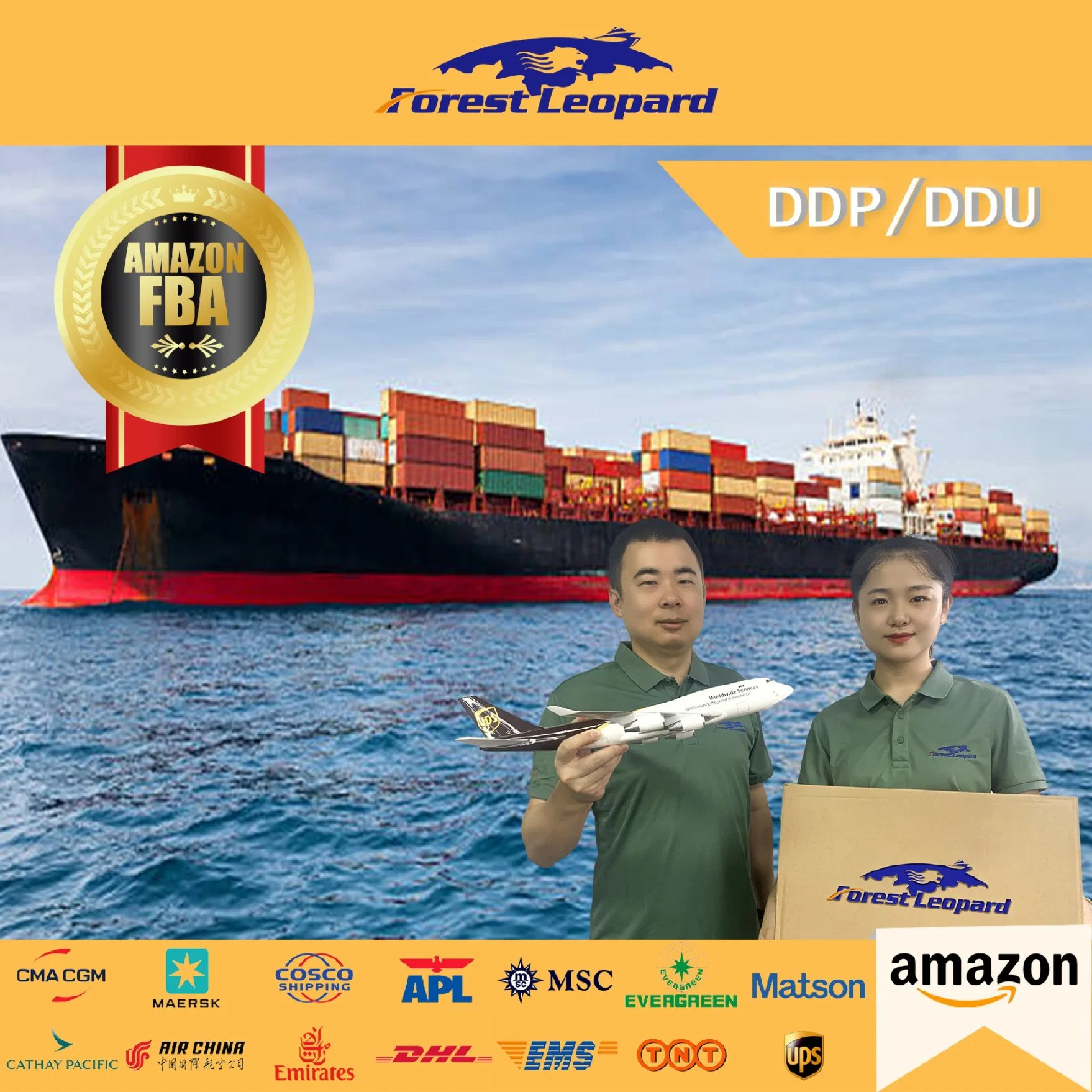 Good Price Cargo Ship Shenzhen Logistics to Dalla Shipping Forwarding Agent USA Canada Europe