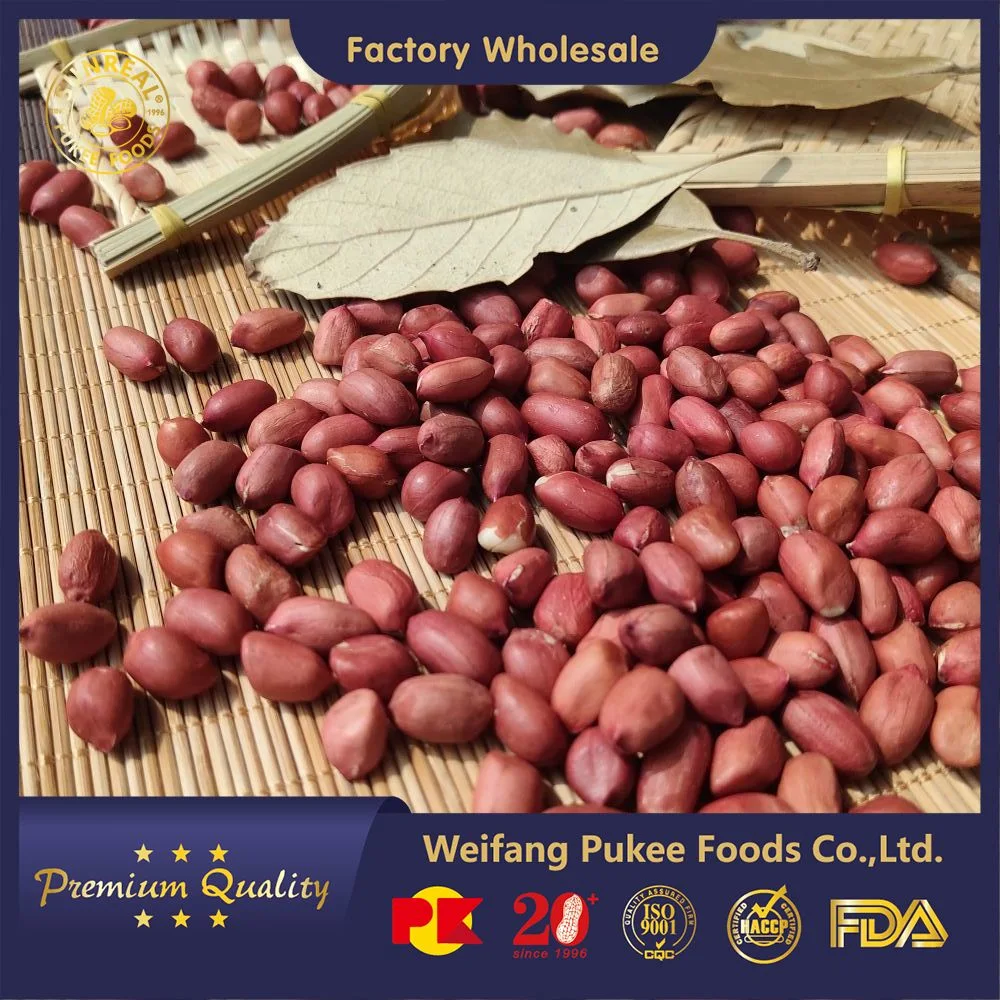 Raw Peanut Kernels/Red Skin/China/Superior Quality/Multipurpose