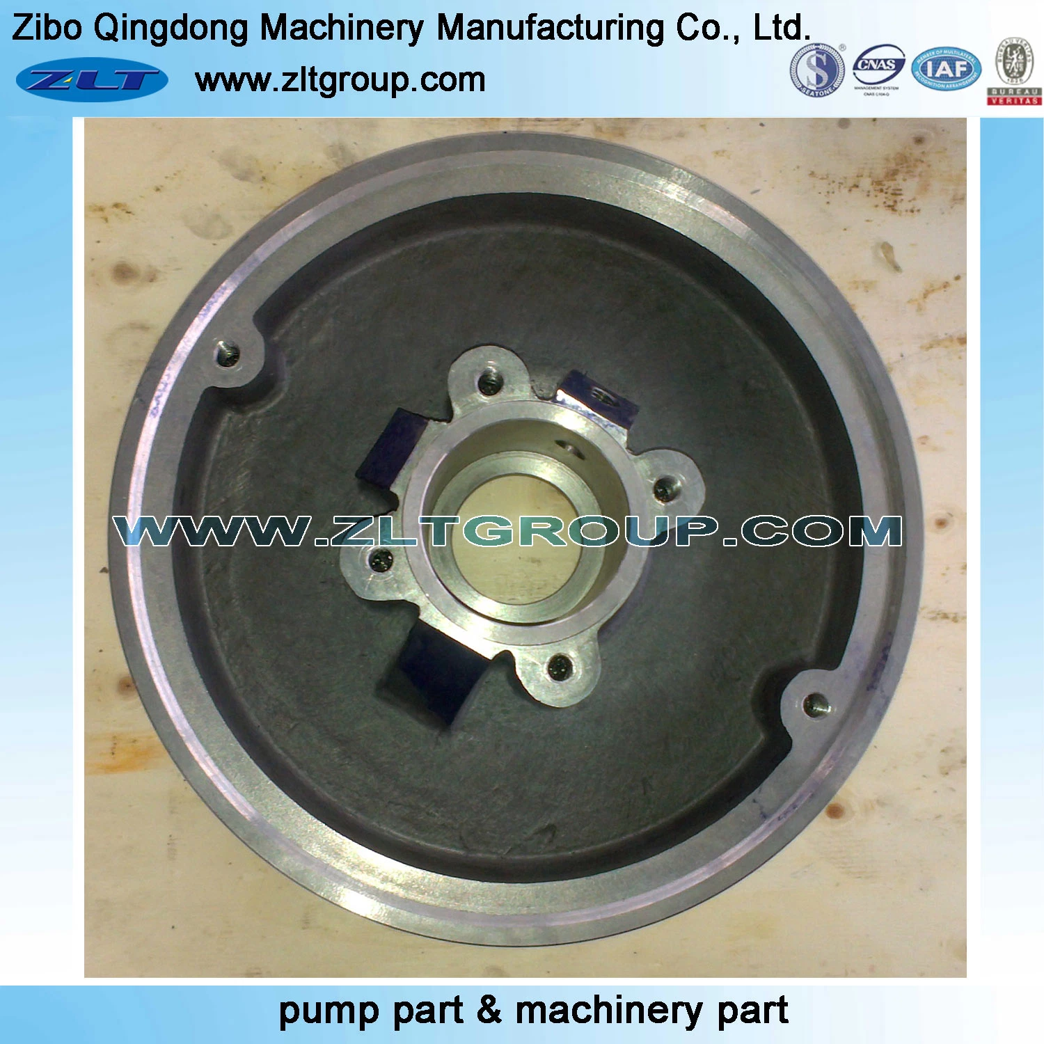 Sand Casting ANSI Chemical Centrifugal Pump Stuffing Box Cover in Titanium/Stainless Steel