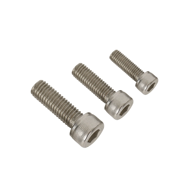 Stainless Steel Made in China Socket Head Screw Allen Key Bolt