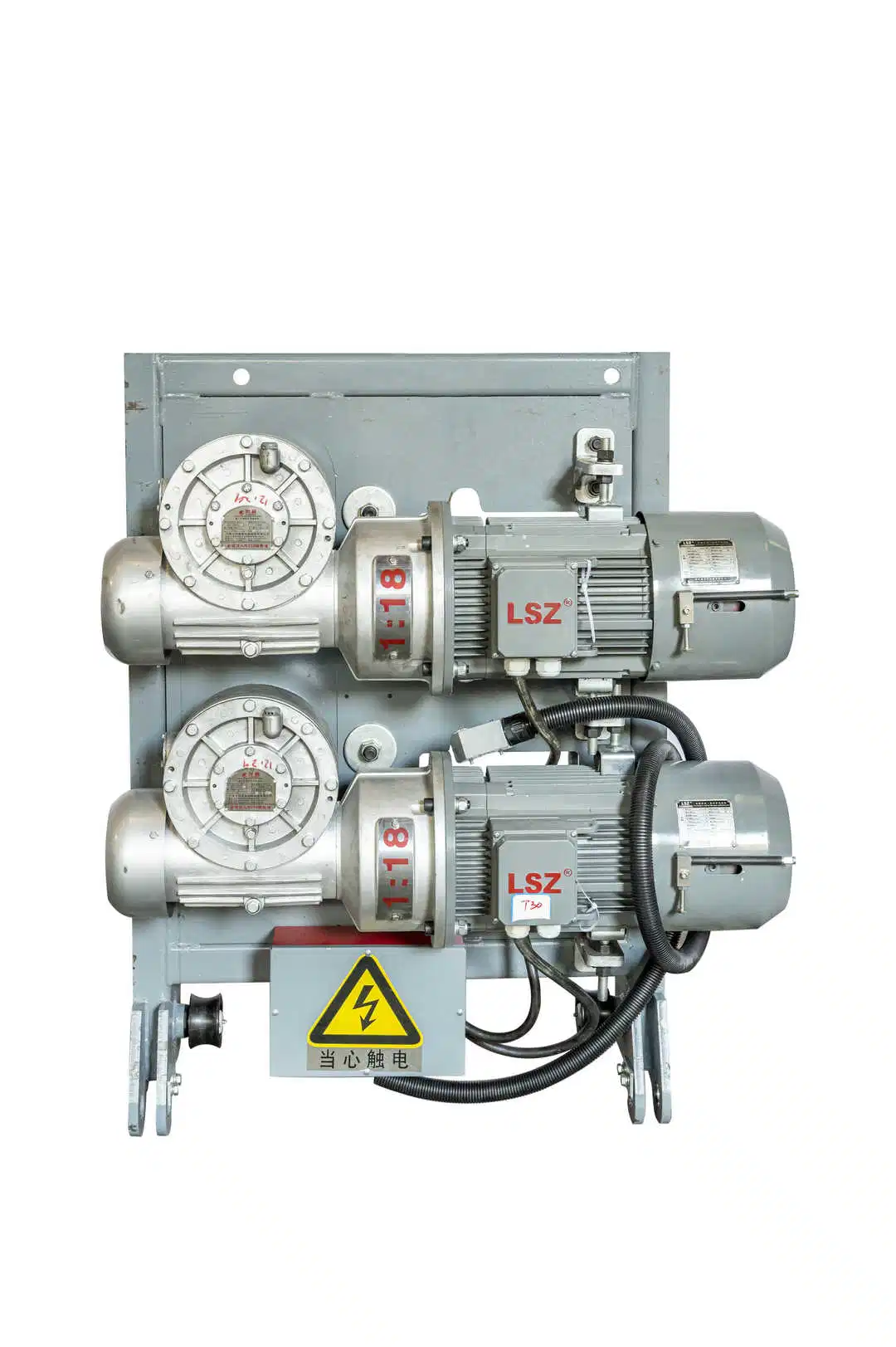 Industrial Use Electric Motor with Worm / Gear Box