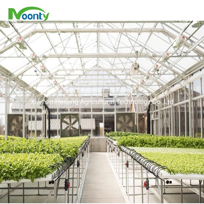 Commercial Hot Sale Hydroponic Channel System in Greenhouse and Farm Nft Hydroponics System with Hydroponics Equipment for Lettuce/Celery/Greens Cultivation