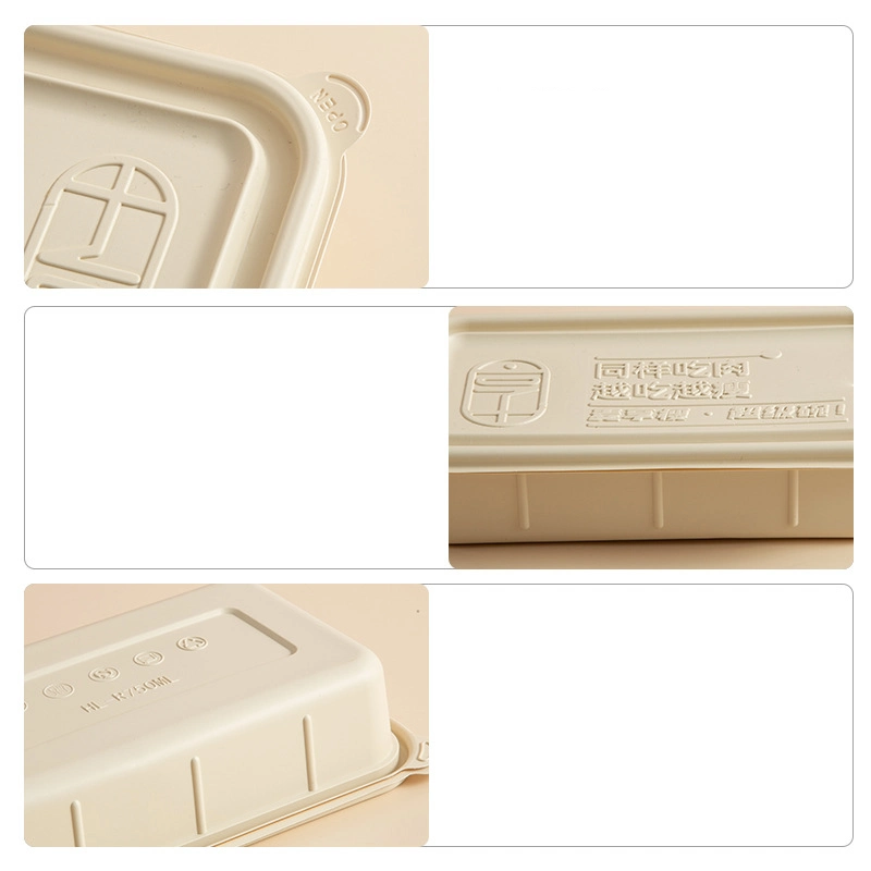 Custom Compostable Disposable Sugarcane Bagasse Food Container Takeout Takeaway Lunch Box