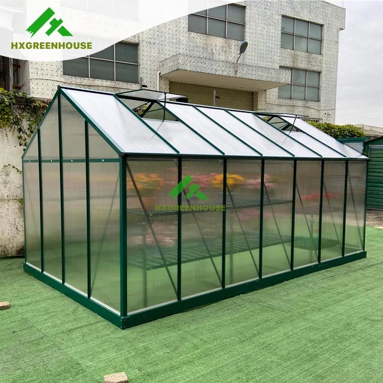 Cheap Large 10m Insulated Aluminium Profile Green House Metal Frame Singlespan China Tomato Agriculture Greenhouse