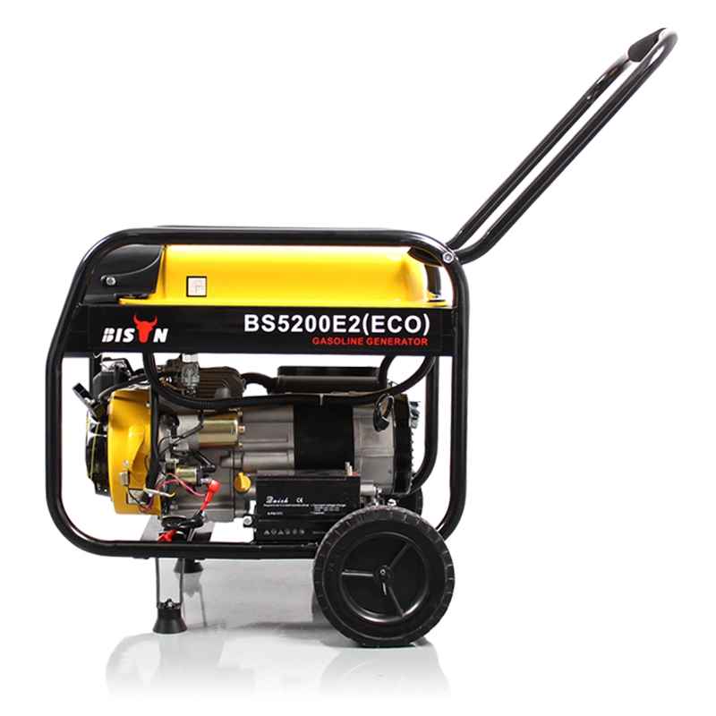 Bison 4kVA 5kw Gas Power Gasoline Generator Set