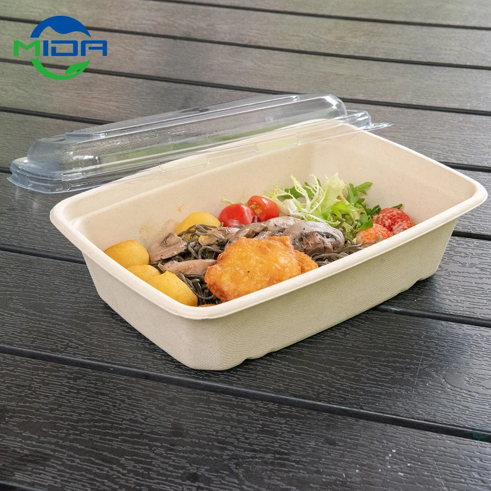 Sugarcane Bgasse Disposable Plates Eco Friendly Packaging Food Container Lunch Box