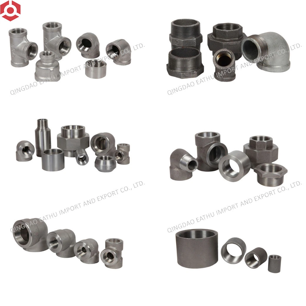 Threaded /Socket Welding Forged Ss Stainless/CS Carbon Steel High Pressure Pipe Fittings