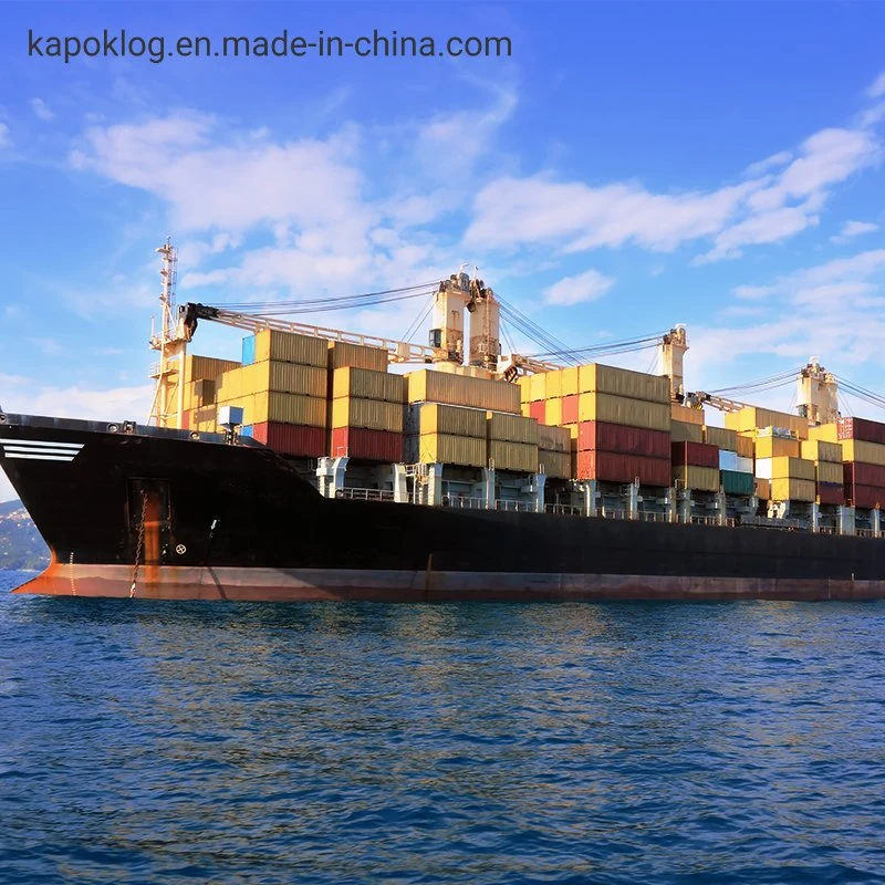 Fast International DDP Door to Door Shipping Cargo Sea Freight China to UK