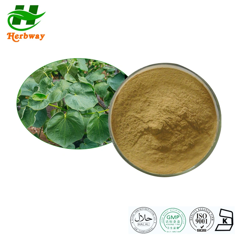 Herbway Kosher Halal Fssc HACCP Certified Botanical Extract Kavalactones Kava Root Extract