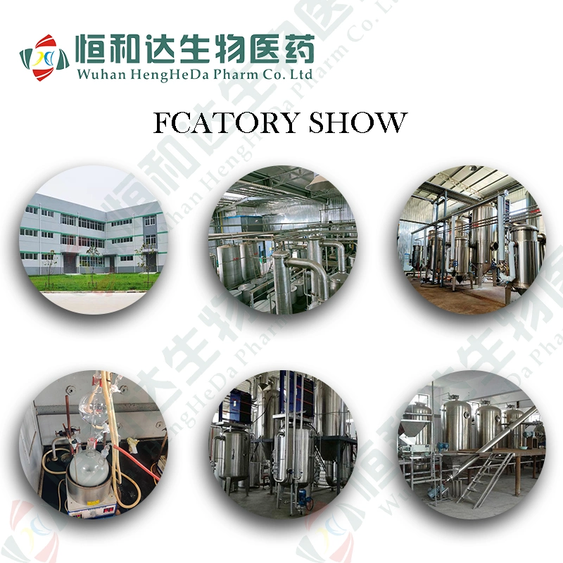 Wuhan Hhd Factory Extracto de Valeriana planta natural