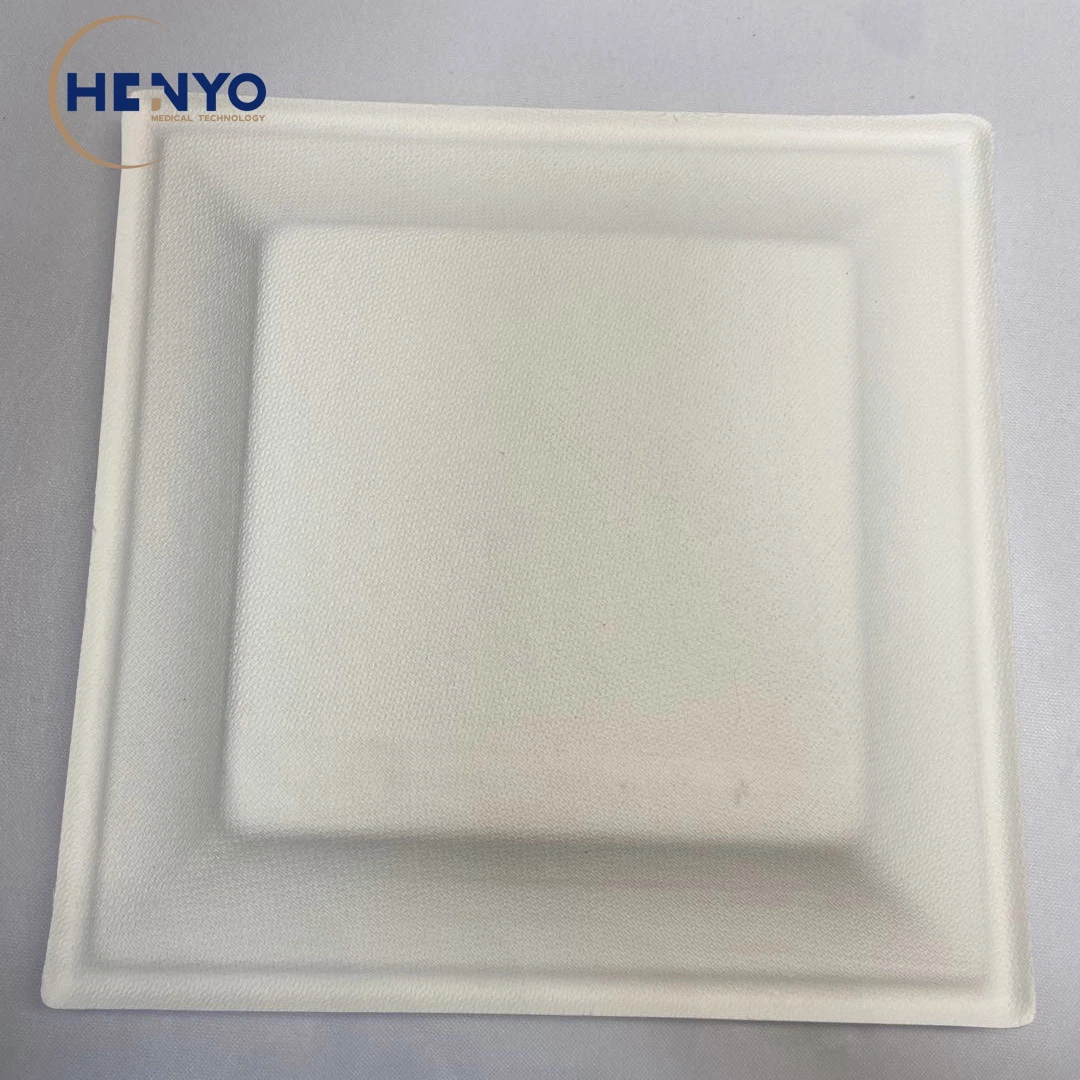 8-Inch Disposable Food Tray Eco-Friendly Biodegradable Square Food Tray