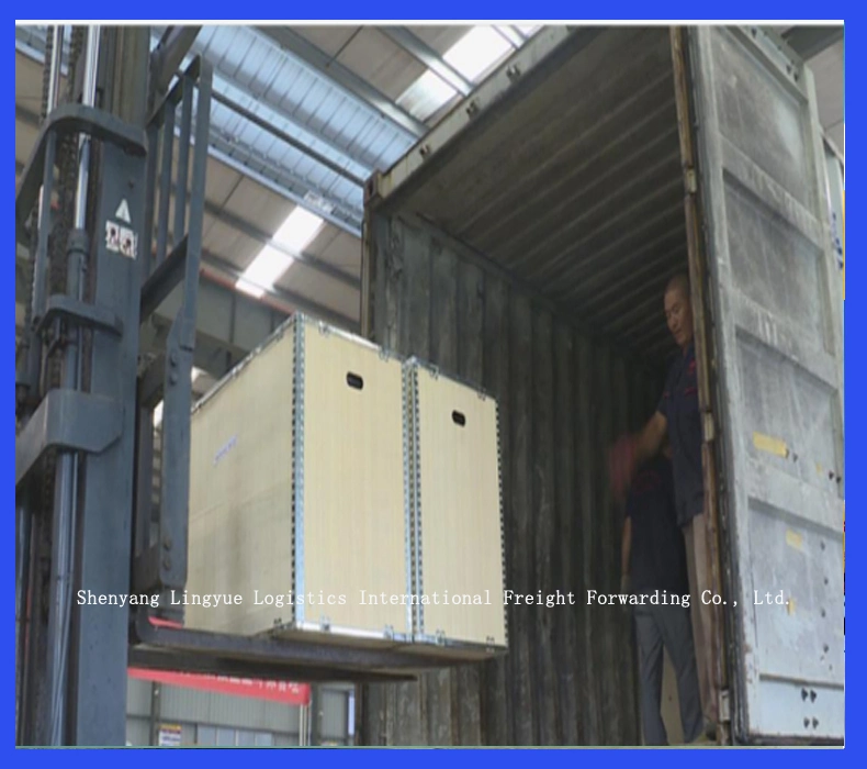 Professional Agent Sea Freight Service From Shenyang in China to Palau Shipping Freight