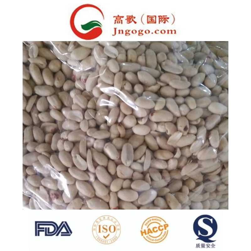 High quality/High cost performance Peanut Kernel with Skin (24/28, 28/32, 38/42)