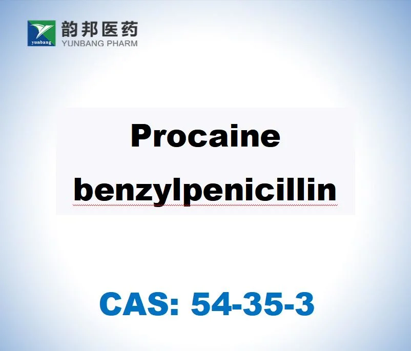 CAS54-35-3، مادة خام صيدلانية PRO-Caine Benzylpenicil-Lin مع الدرجة الأولى