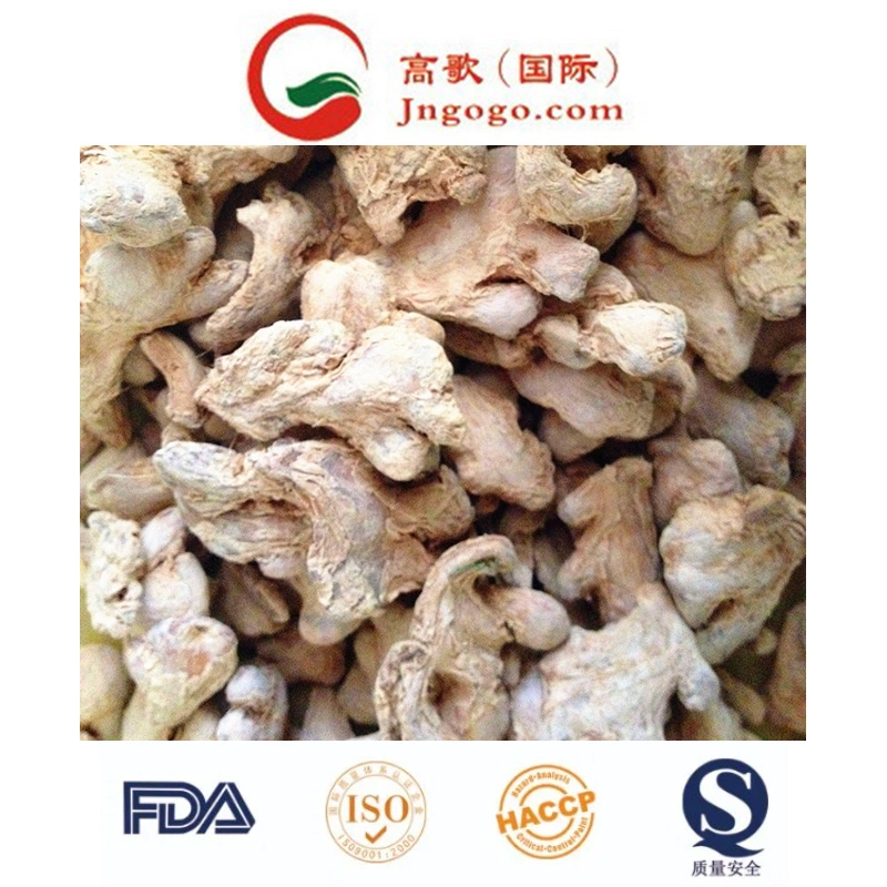 Top Quality Dry Ginger Supplier Dehydrated Ginger