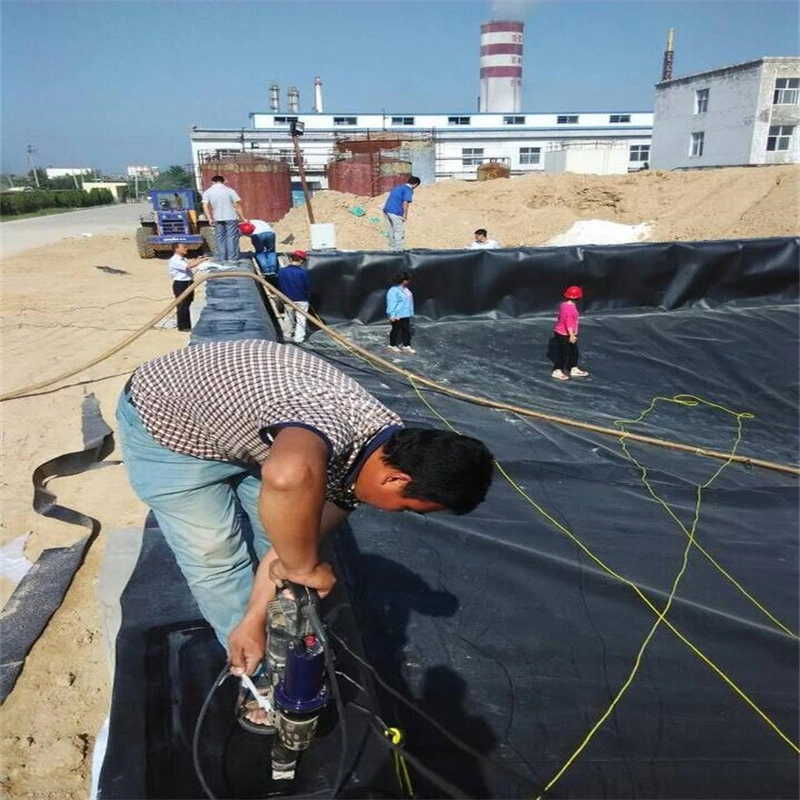 Factory Price Black White Blue Green HDPE Geomembrane for Mining